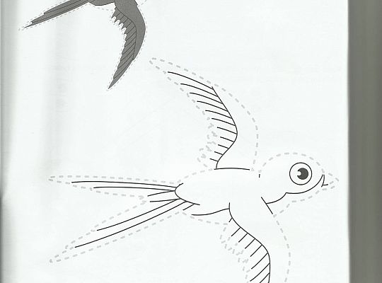 GR III tydzień 30.03-03.04 Temat tygodnia - Powrót ptaków