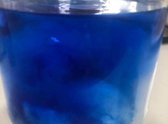 gr II My się w domu nie nudzimy