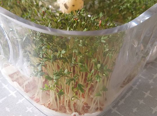 Gr III tydzień 06.04-10.04 - Wielkanoc