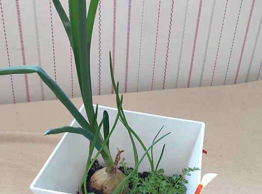 Gr III tydzień 06.04-10.04 - Wielkanoc