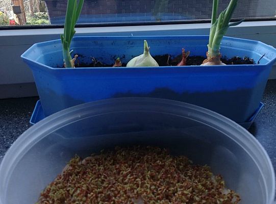 Gr III tydzień 06.04-10.04 - Wielkanoc