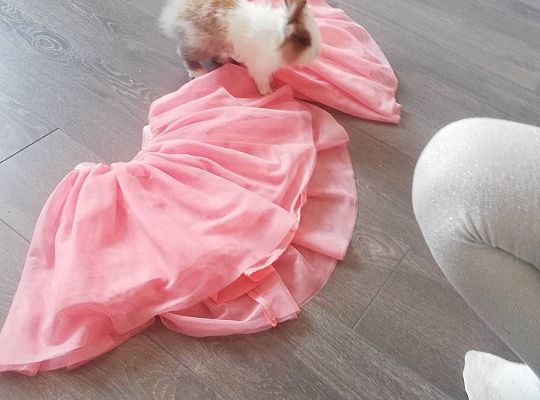 GR III tydzień 14.04-17.04 "Robimy zakupy"