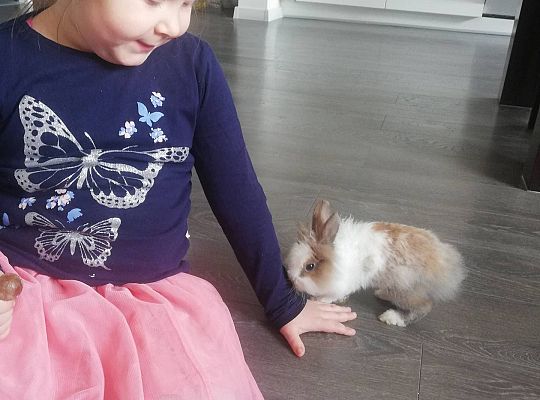 GR III tydzień 14.04-17.04 "Robimy zakupy"