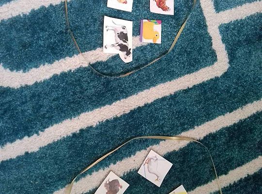 GR IV Fotorelacja z tygodnia "Na wiejskim podwórku"