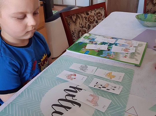 GR IV Fotorelacja z tygodnia "Na wiejskim podwórku"