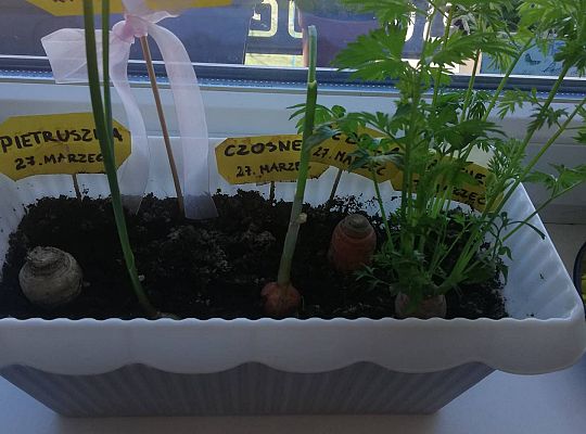 GR III tydzień 20.04-24.04 "Skąd bierzemy pieniądze"