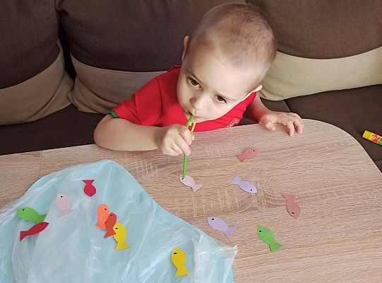 gr I Fotorelacja "Święto Ziemi"