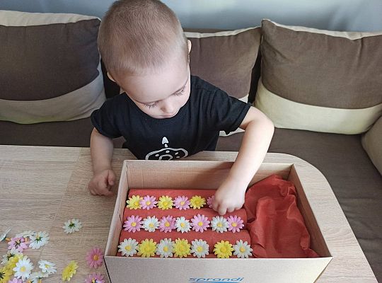 gr I Fotorelacja "Święto Ziemi"