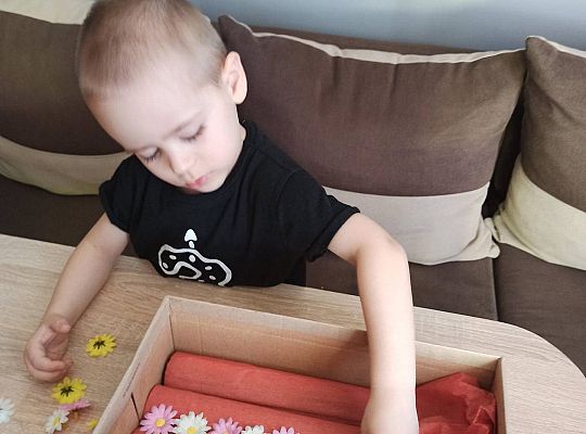 gr I Fotorelacja "Święto Ziemi"