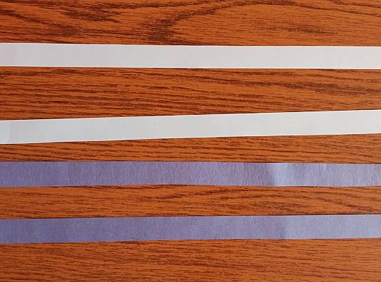 gr I Fotorelacja "Święto Ziemi"