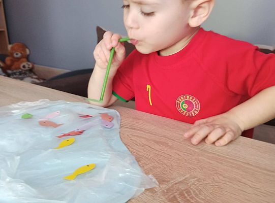 gr I Fotorelacja "Święto Ziemi"