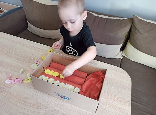 gr I Fotorelacja "Święto Ziemi"