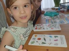 gr II Nasza praca w domu