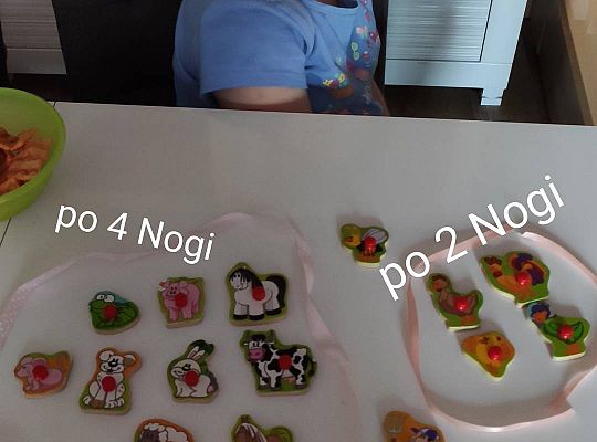 GR III tydzień 04.05-08.05 "W wiejskiej zagrodzie"