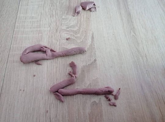 GR IV Fotorelacja z tygodnia "Polska-moja ojczyzna"