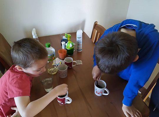 GR III tydzień 11.05-15.05 "Ziemię mamy tylko jedną"