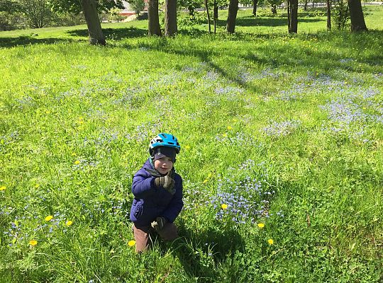 GR III tydzień 11.05-15.05 "Ziemię mamy tylko jedną"