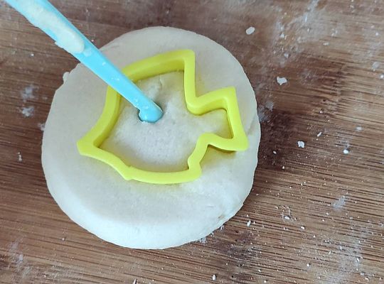 GR III tydzień 11.05-15.05 "Ziemię mamy tylko jedną"