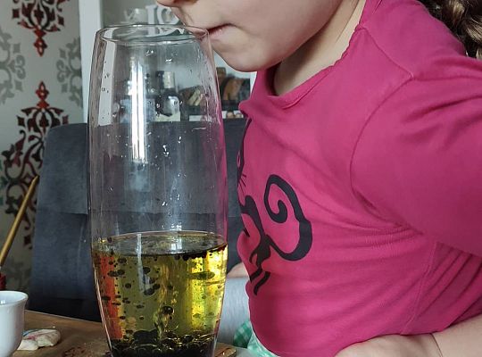 GR III tydzień 11.05-15.05 "Ziemię mamy tylko jedną"