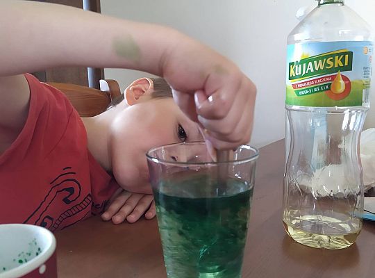 GR III tydzień 11.05-15.05 "Ziemię mamy tylko jedną"