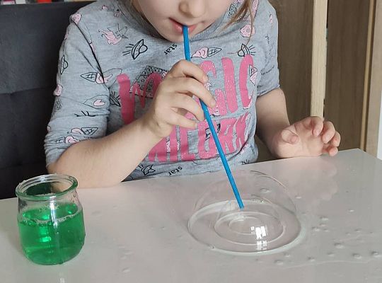 GR III tydzień 11.05-15.05 "Ziemię mamy tylko jedną"