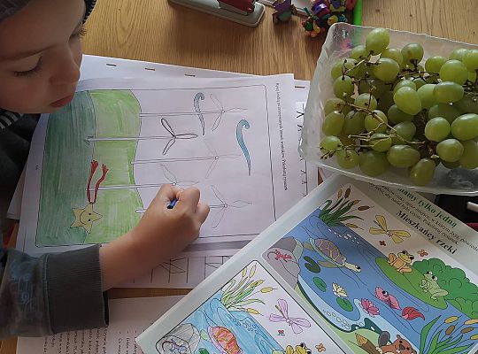 GR III tydzień 11.05-15.05 "Ziemię mamy tylko jedną"