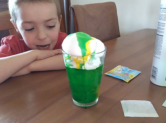 GR III tydzień 11.05-15.05 "Ziemię mamy tylko jedną"