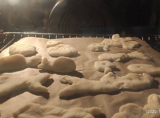 GR III tydzień 11.05-15.05 "Ziemię mamy tylko jedną"