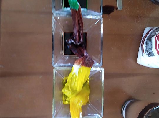 GR III tydzień 11.05-15.05 "Ziemię mamy tylko jedną"