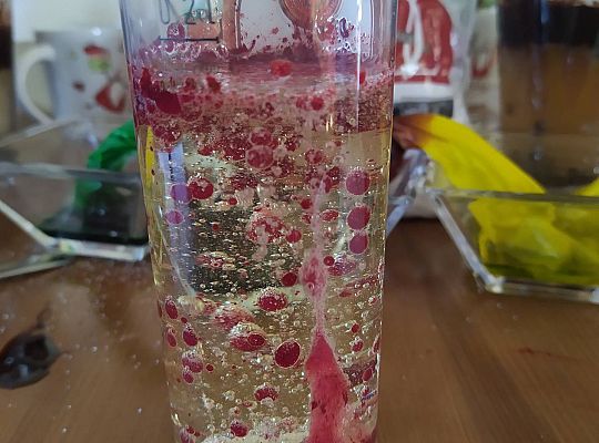 GR III tydzień 11.05-15.05 "Ziemię mamy tylko jedną"