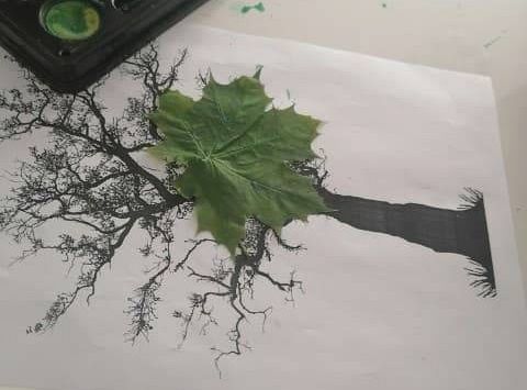 Gr II Fotorelacja z tygodnia "Majowa łąka"