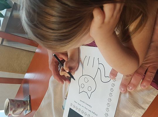 gr I Fotorelacja z tygodnia "Majowa łąka"