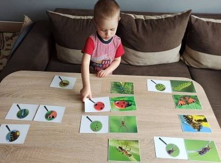 gr I Fotorelacja z tygodnia "Majowa łąka"