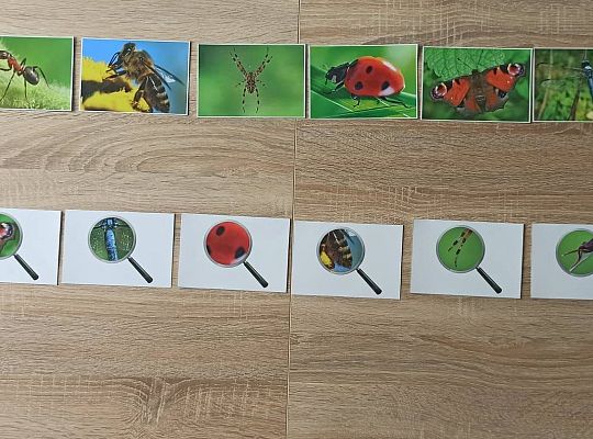 gr I Fotorelacja z tygodnia "Majowa łąka"