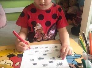 gr I Fotorelacja z tygodnia "Majowa łąka"