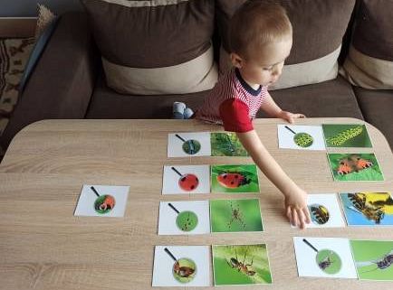 gr I Fotorelacja z tygodnia "Majowa łąka"