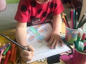 gr I Fotorelacja z tygodnia "Majowa łąka"