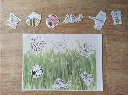 gr I Fotorelacja z tygodnia "Majowa łąka"