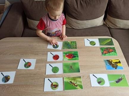 gr I Fotorelacja z tygodnia "Majowa łąka"