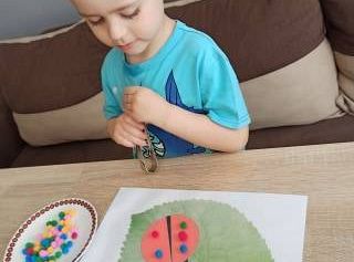 gr I Fotorelacja z tygodnia "Majowa łąka"