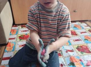 gr I Fotorelacja z tygodnia "Majowa łąka"