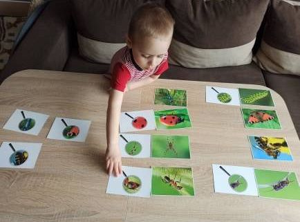 gr I Fotorelacja z tygodnia "Majowa łąka"