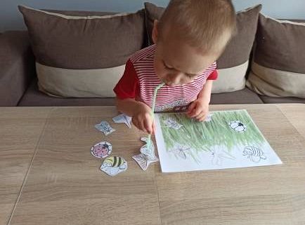 gr I Fotorelacja z tygodnia "Majowa łąka"