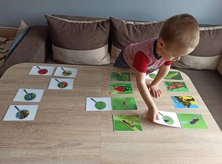 gr I Fotorelacja z tygodnia "Majowa łąka"