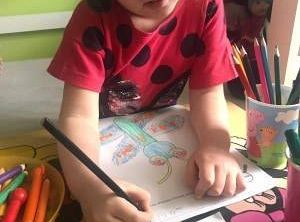 gr I Fotorelacja z tygodnia "Majowa łąka"