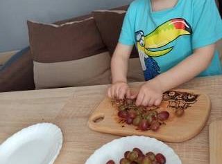 gr I Fotorelacja z tygodnia "Majowa łąka"