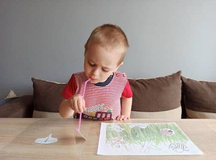 gr I Fotorelacja z tygodnia "Majowa łąka"