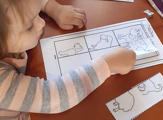 gr I Fotorelacja z tygodnia "Majowa łąka"