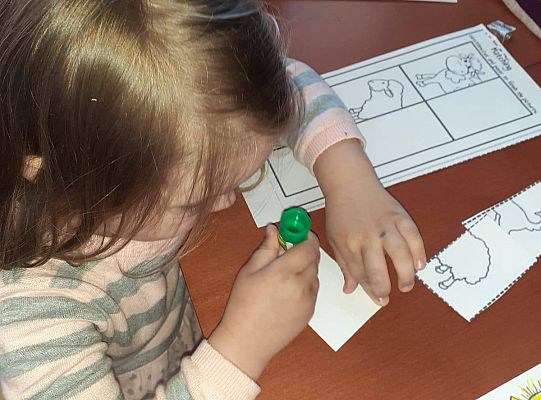 gr I Fotorelacja z tygodnia "Majowa łąka"