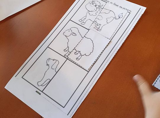 gr I Fotorelacja z tygodnia "Majowa łąka"